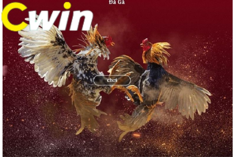 Cm88 sẽ tặng 100000 đô la cho các thành viên mới - Cm88