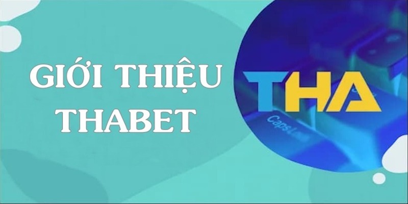 Câu hỏi thường gặp khi người chơi đăng ký tham gia Win55 - Win55