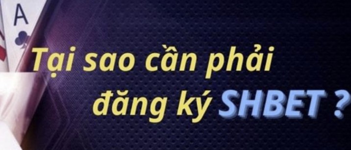 Dịch vụ hỗ trợ khách hàng của Nohu90 có đáp ứng được nhu cầu không? - Nohu90