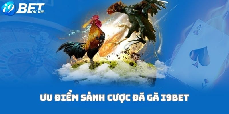 Phát sóng trực tiếp/truyền hình trực tiếp trên nền tảng Mec68 - Mec68