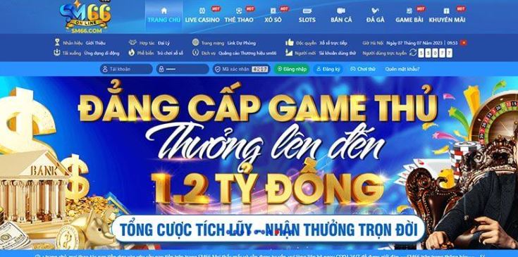 Bong888 Sports Games cung cấp những dịch vụ gì? - Bong888